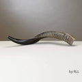 Shofar Yemenite P417221