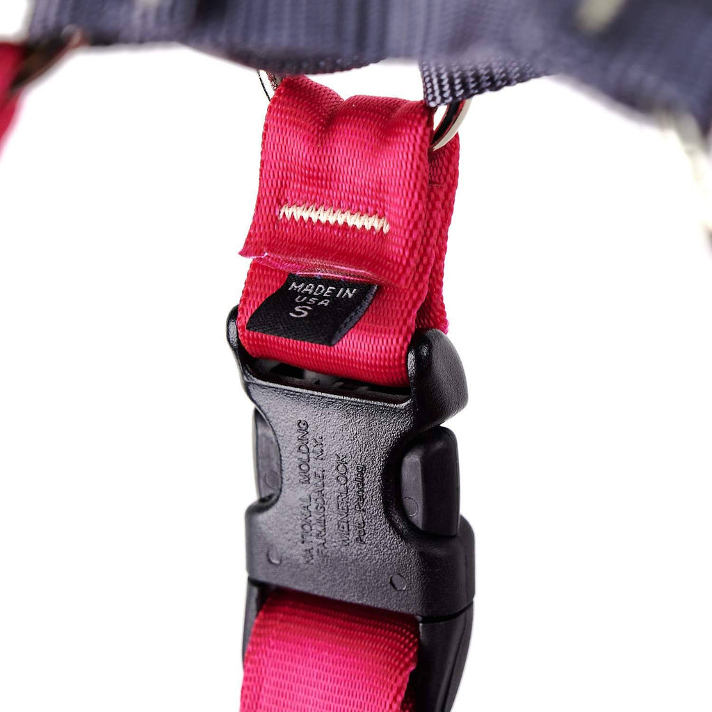 No-Pull Harness Xs / Raspberry D289992