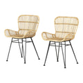 Rattan Dining Chair with Armrests, Set of 2, Black J53572