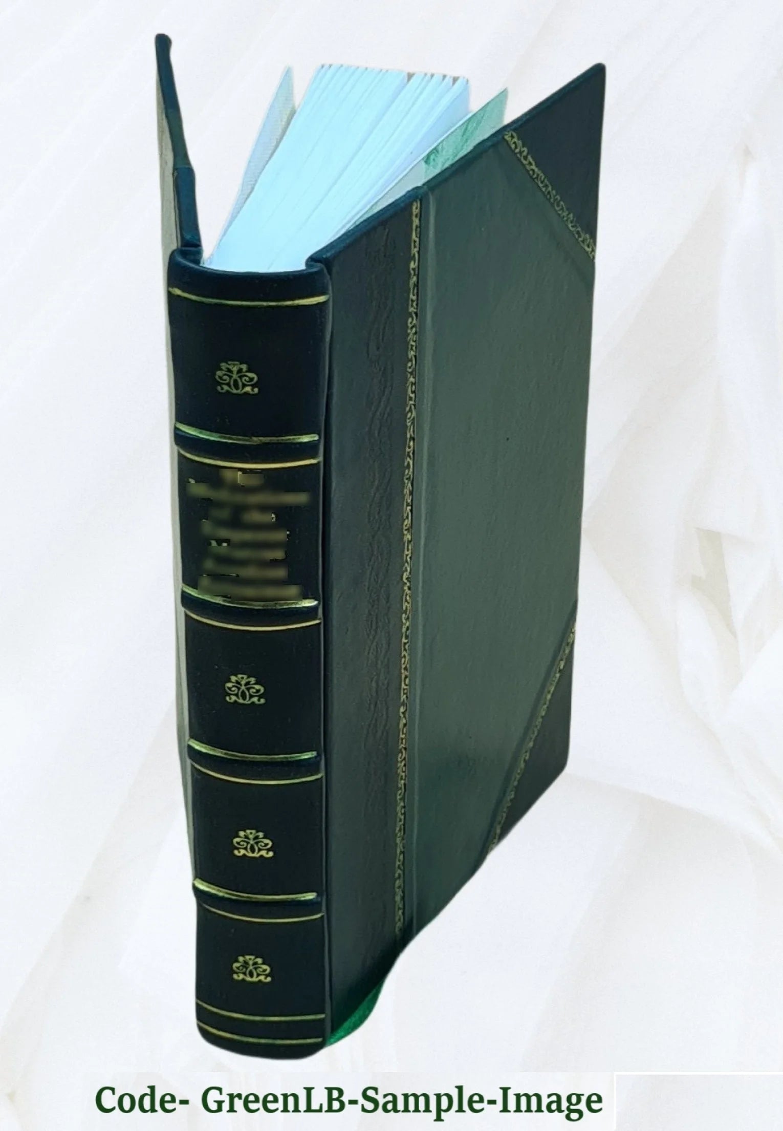 Leather Bound Book P520715