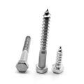 Hex Lag Screw Low Carbon Steel Zinc Plated Pk 50 Y96936