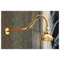 Shower Head with Extended Arm W156