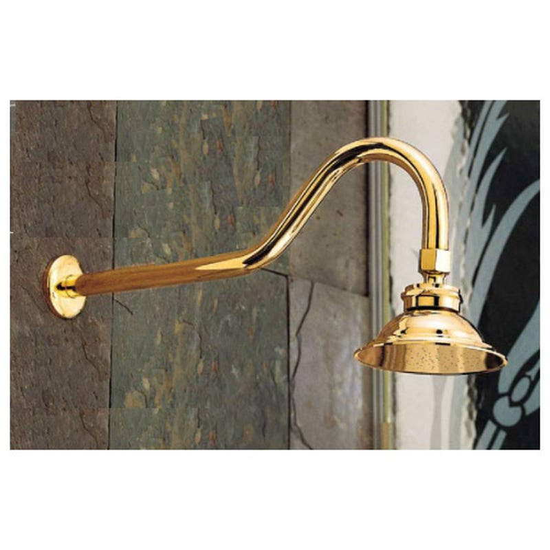 Shower Head with Extended Arm W156