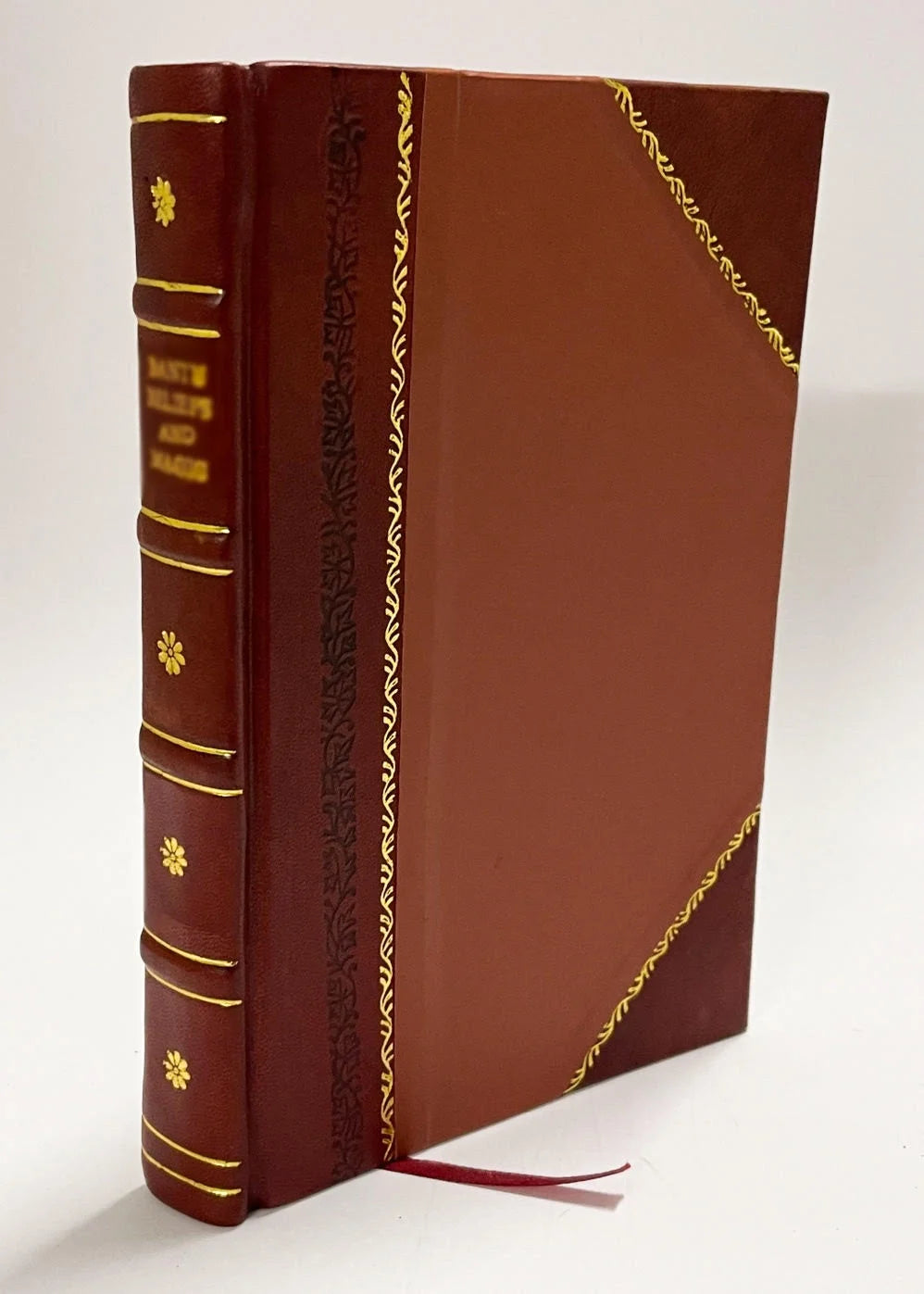Rejected of Men; a Story of To-Day [Leather Bound] X919