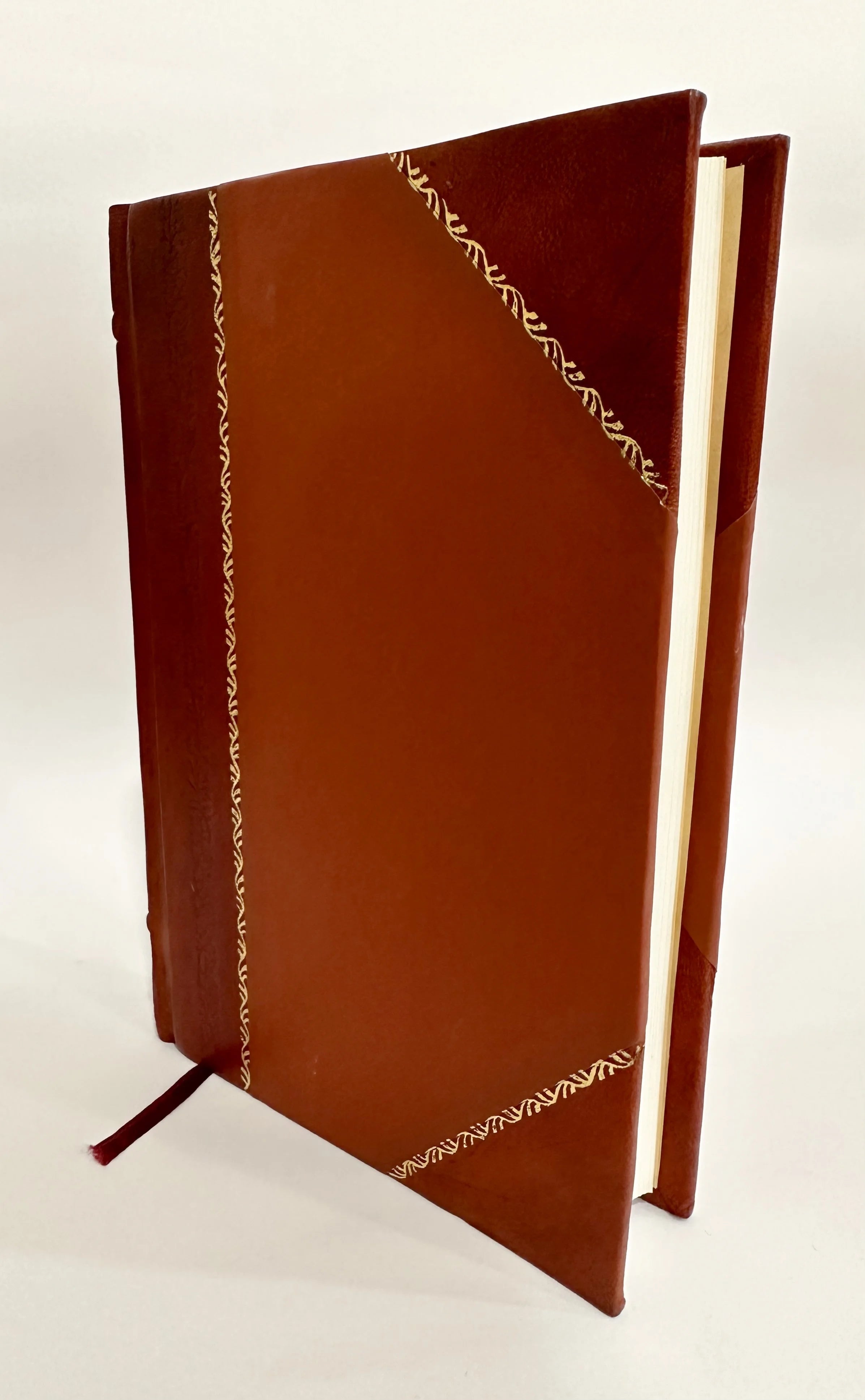 Rejected of Men; a Story of To-Day [Leather Bound] X919