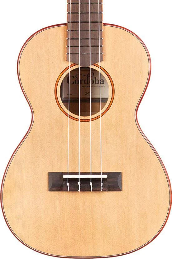 Tenor Ukulele N203061