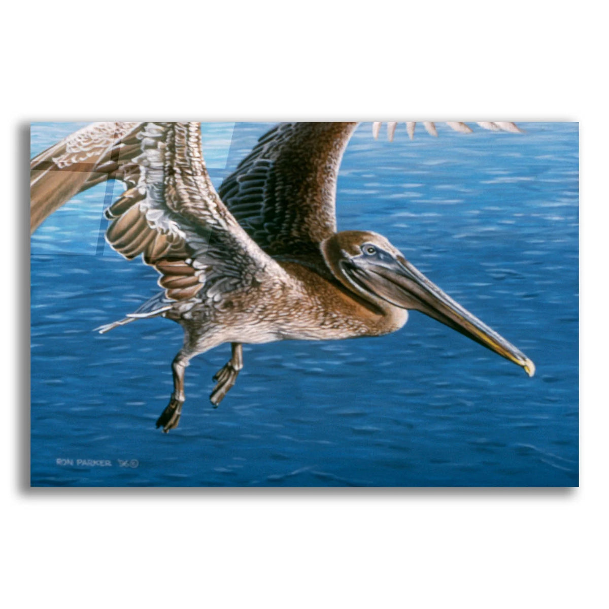 Acrylic Glass Wall Art, 16"x12" Z5686