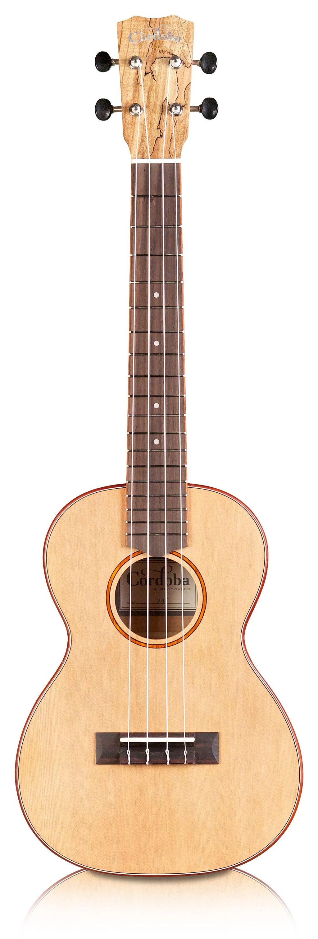 Tenor Ukulele N203061