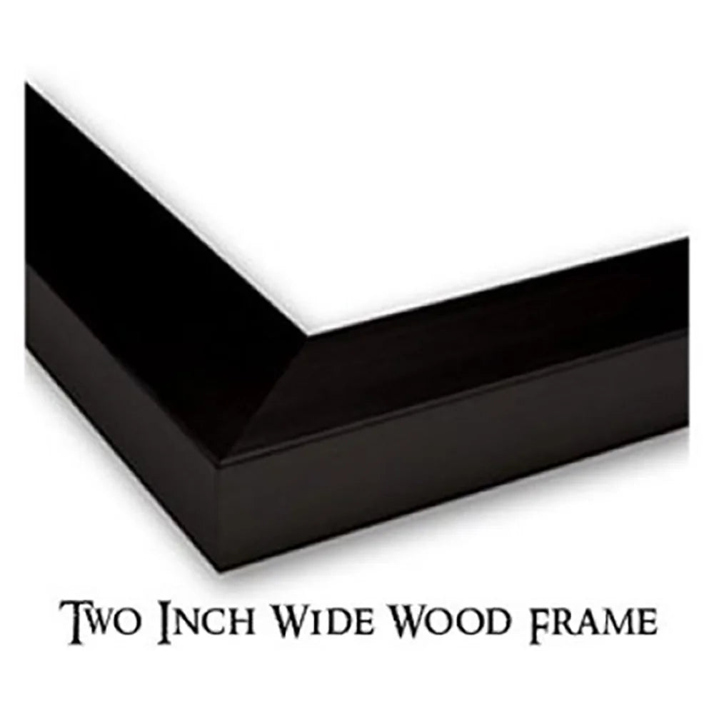 Black Modern Framed Museum Art Print T8750