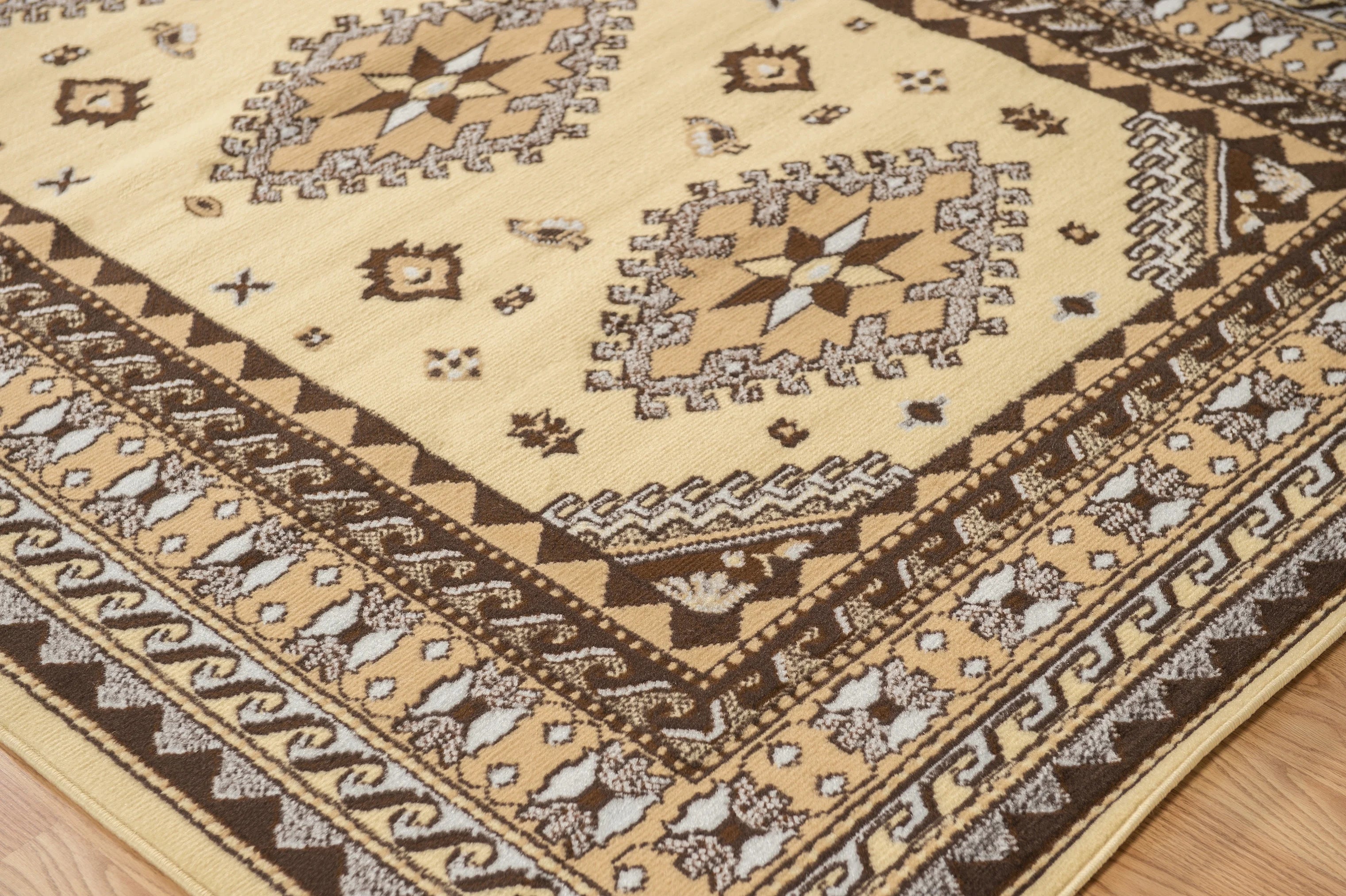 Ivory Bordered Area Rug E22149