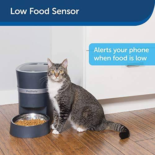 Automatic Dog and Cat Feeder D405309