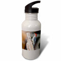 21 oz Sports Water Bottle C978763