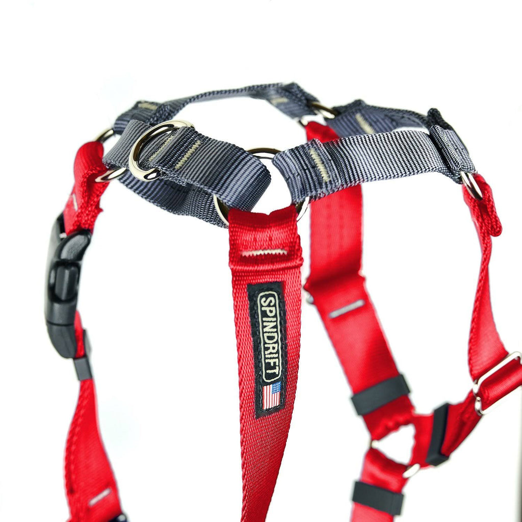 No-Pull Harness Xs / Raspberry D289992