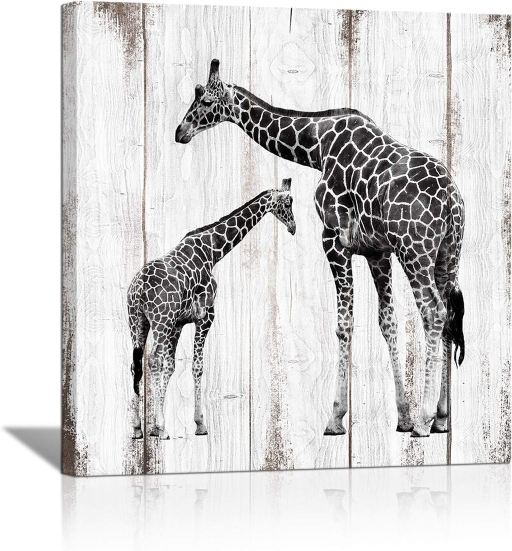 Black and White Giraffe Canvas Prints 24x24 L1585