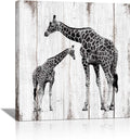 Black and White Giraffe Canvas Prints 24x24 L1585