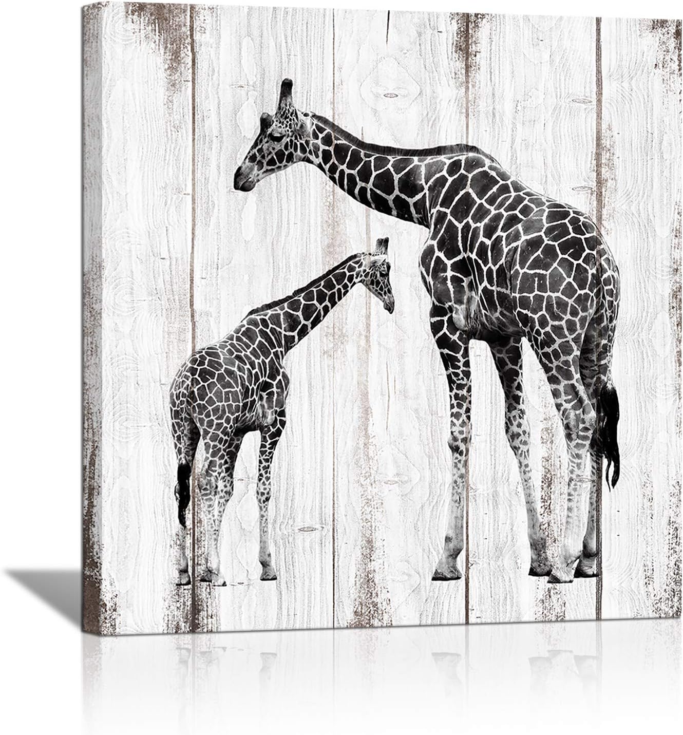 Black and White Giraffe Canvas Prints 24x24 L1585