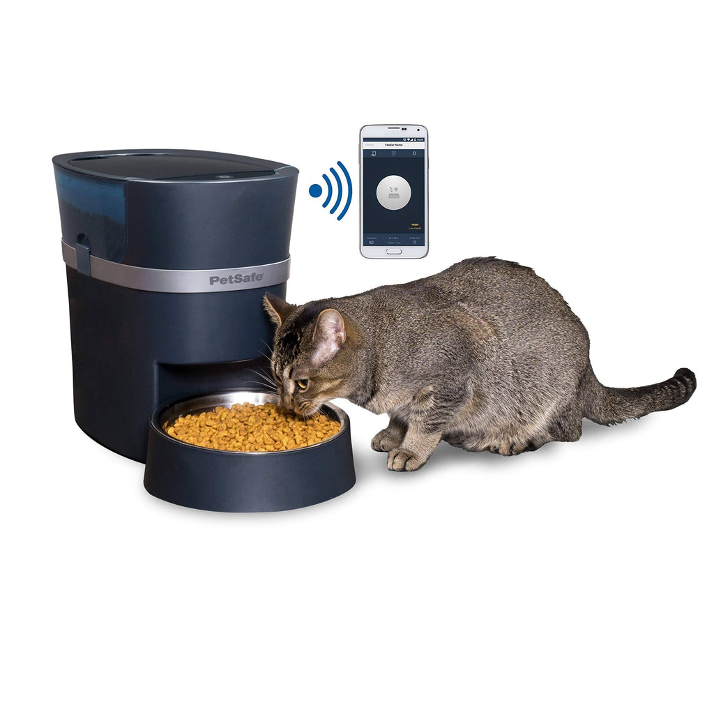 Automatic Dog and Cat Feeder D405309