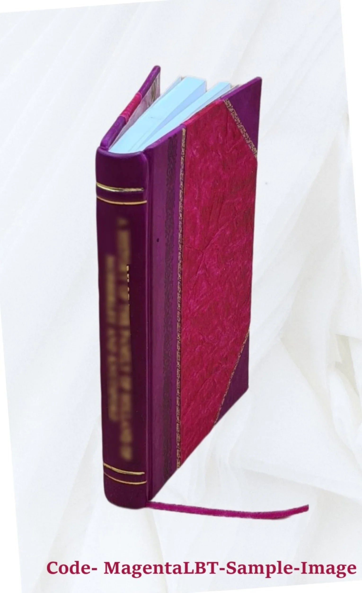 Leather Bound Book R6380