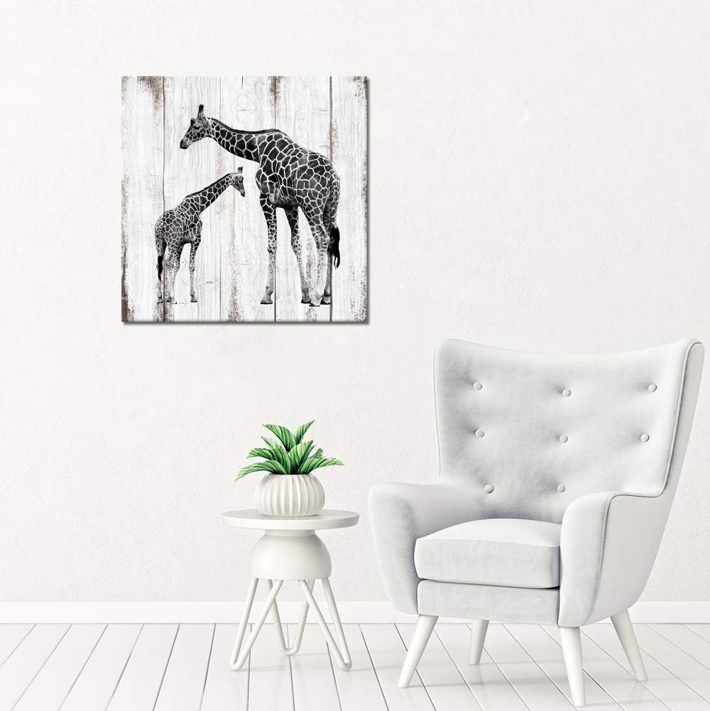Black and White Giraffe Canvas Prints 24x24 L1585