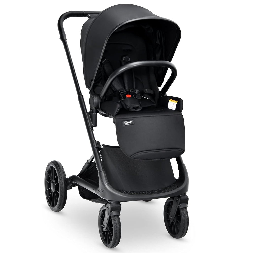 2 in 1 Convertible Baby Stroller with Aluminum Frame (Black) X101425