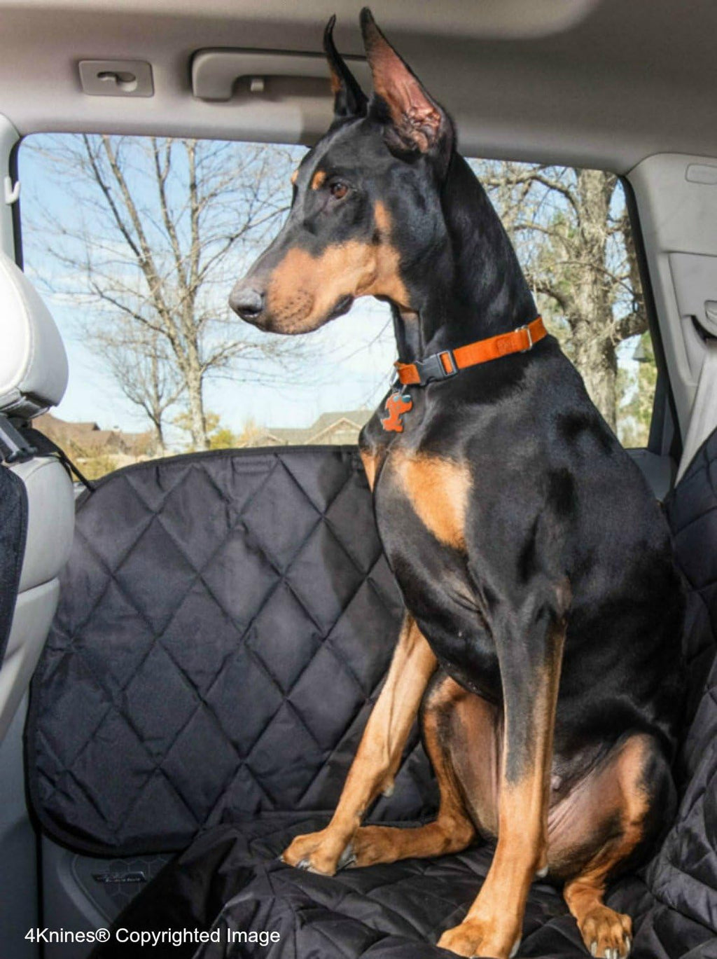 Black Dog Car Door Cover Z822502