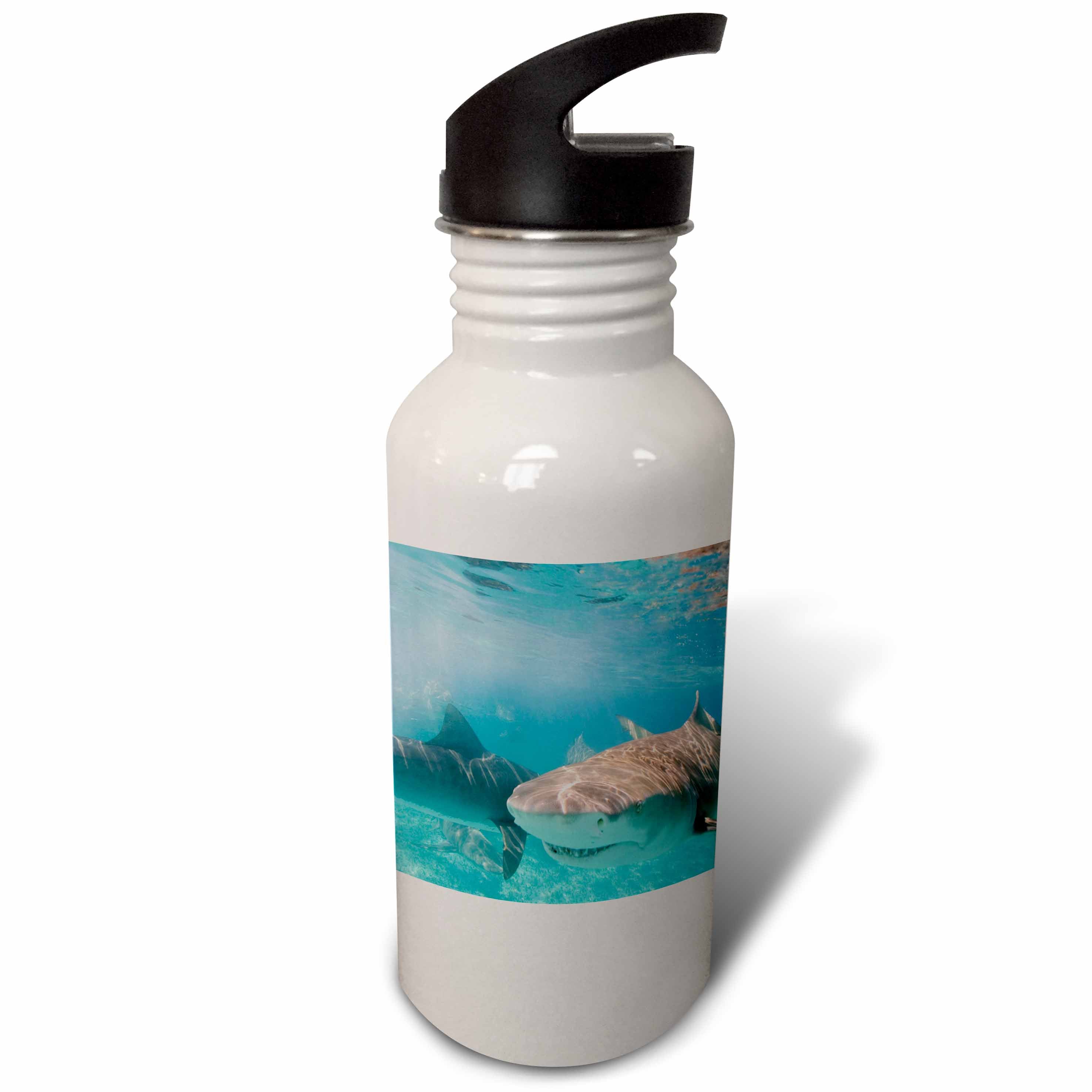 21 oz Sports Water Bottle M772