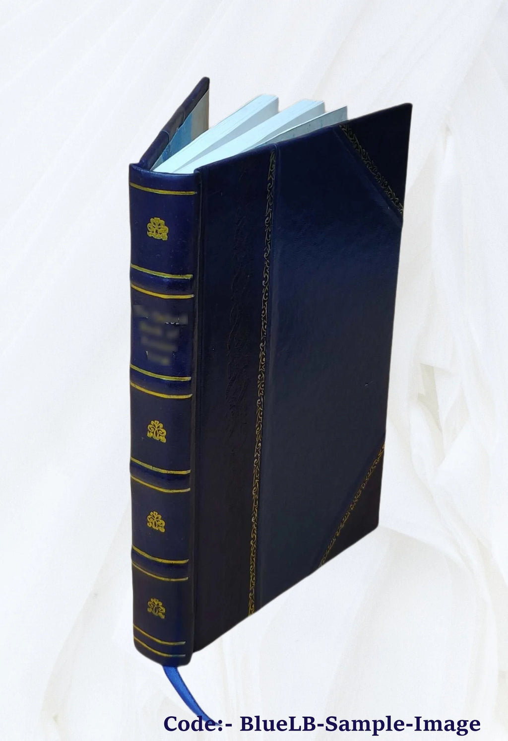 Leather Bound Book B459