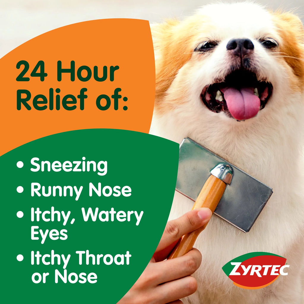 24 Hour Allergy Relief Tablets, 30+10 Ct X49951