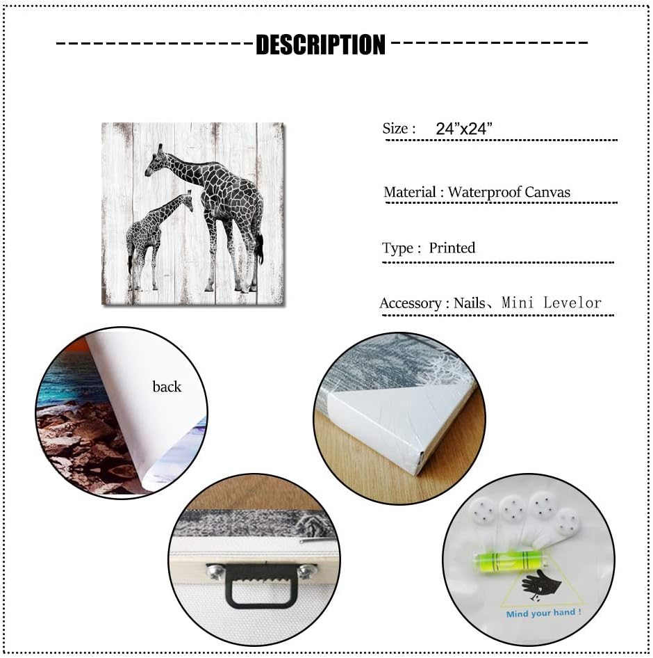 Black and White Giraffe Canvas Prints 24x24 L1585