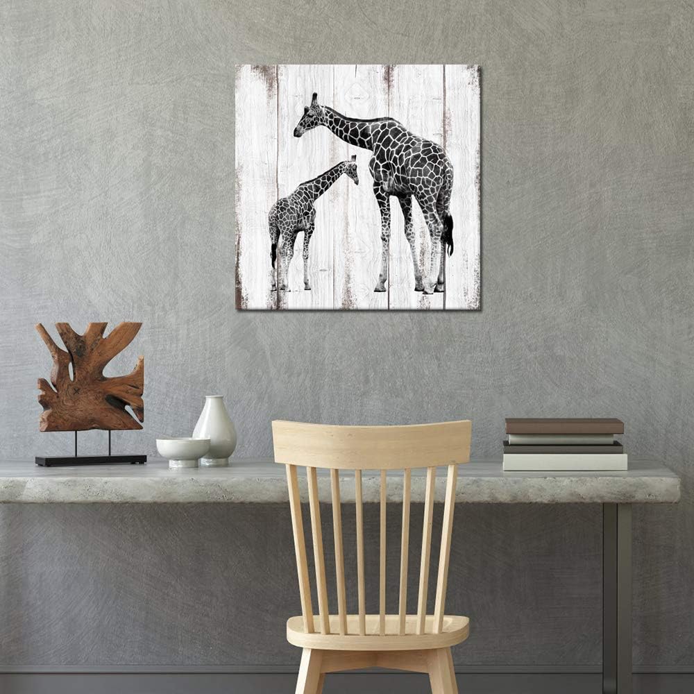 Black and White Giraffe Canvas Prints 24x24 L1585