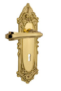 Victorian Plate Privacy Keyhole Fleur Lever in Unlacquered Brass C2962