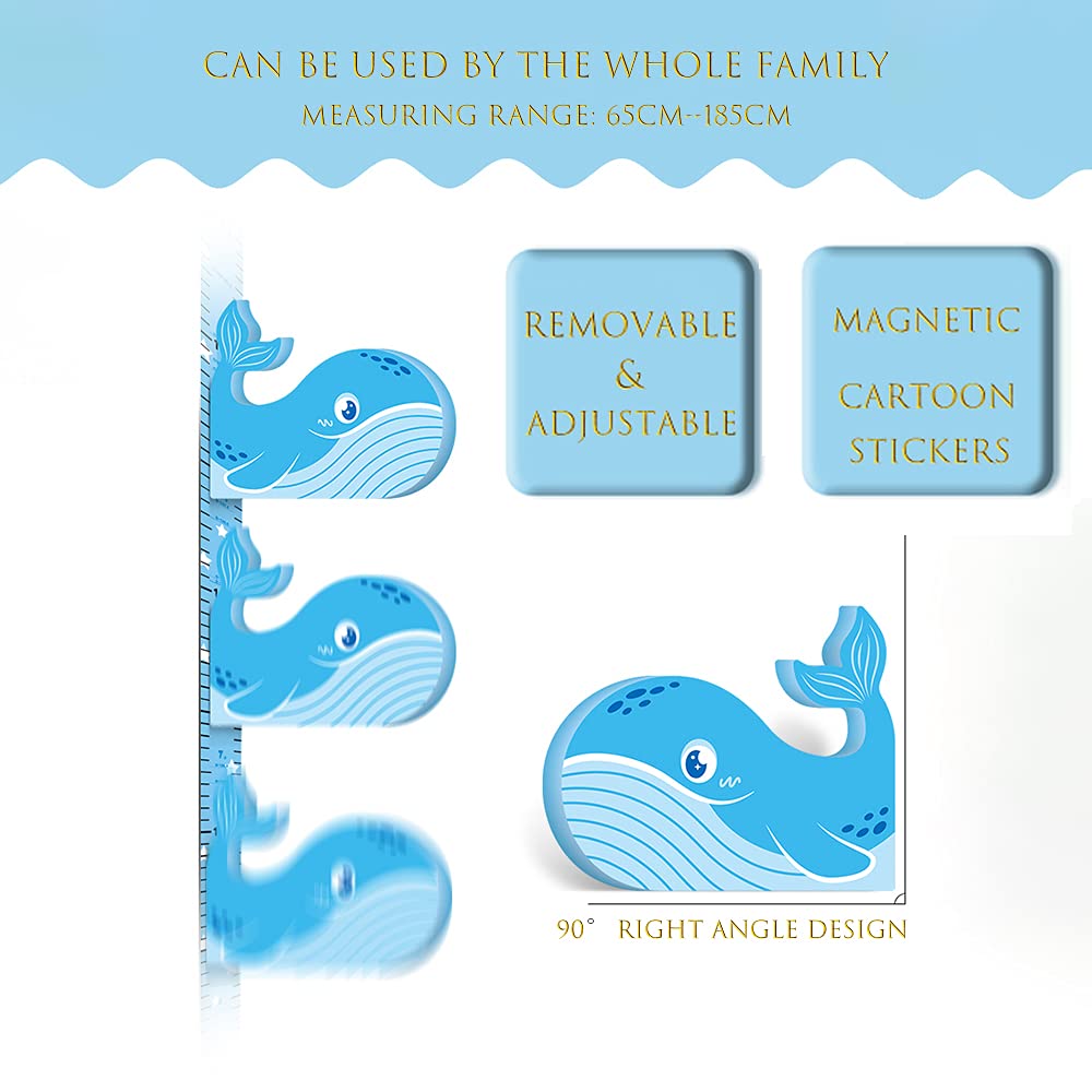 3D Dolphin Kids Measuring Chart with Average Height Line X470