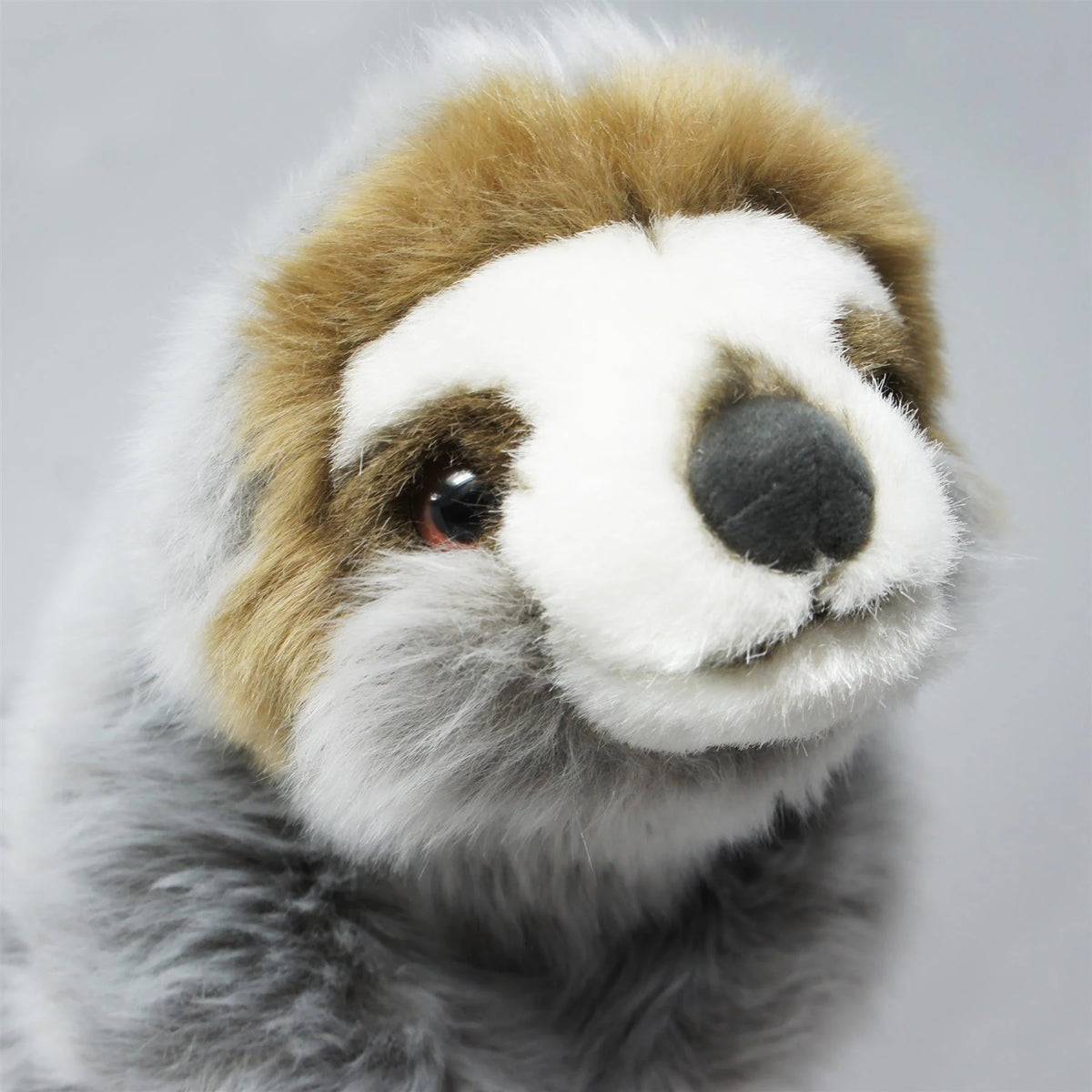 9 Inch Madagascar Sloth Stuffed Animal Plush N68416