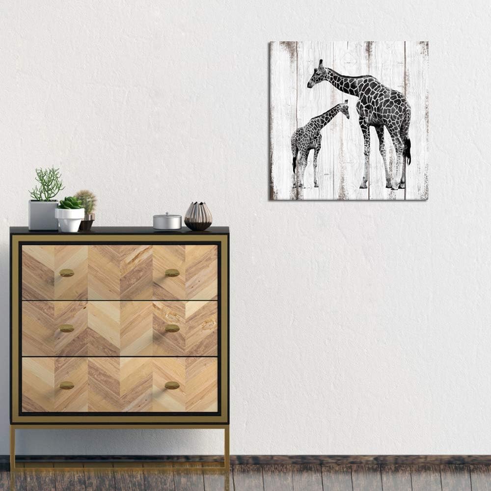 Black and White Giraffe Canvas Prints 24x24 L1585