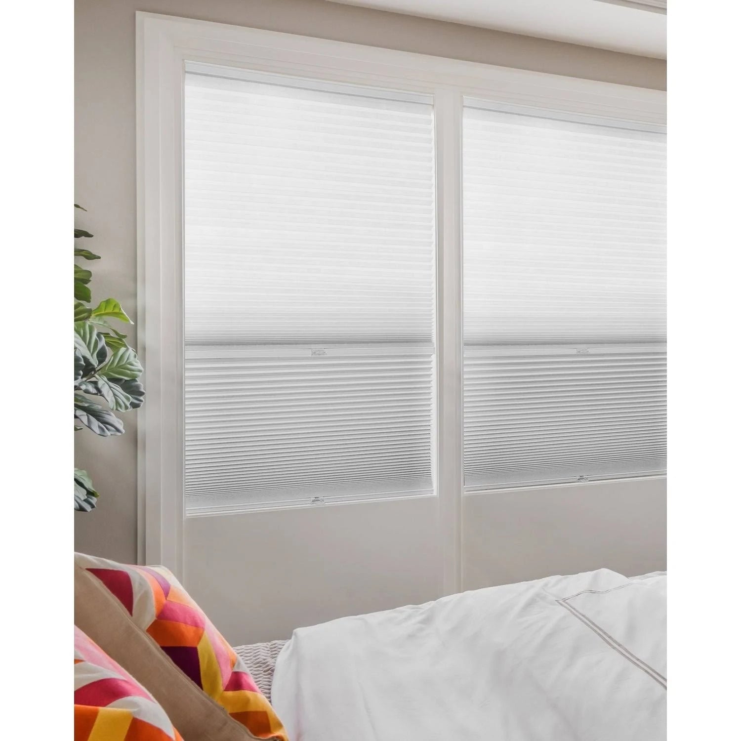 Cordless Cellular Shades A89957