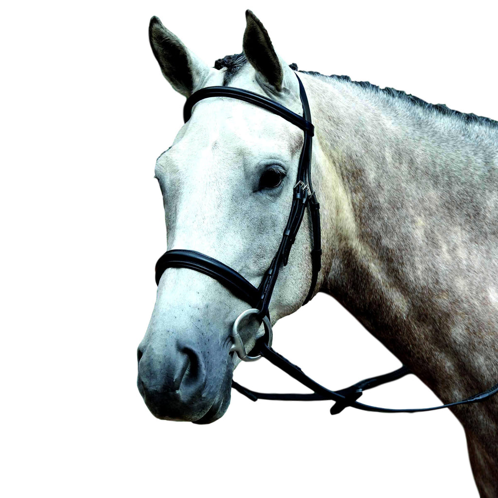 Padded Raised Cavesson Bridle - COB / Brown L260