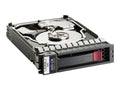 300 GB SAS 6Gb/s 15000 rpm Hot-Swap Hard Drive N7281