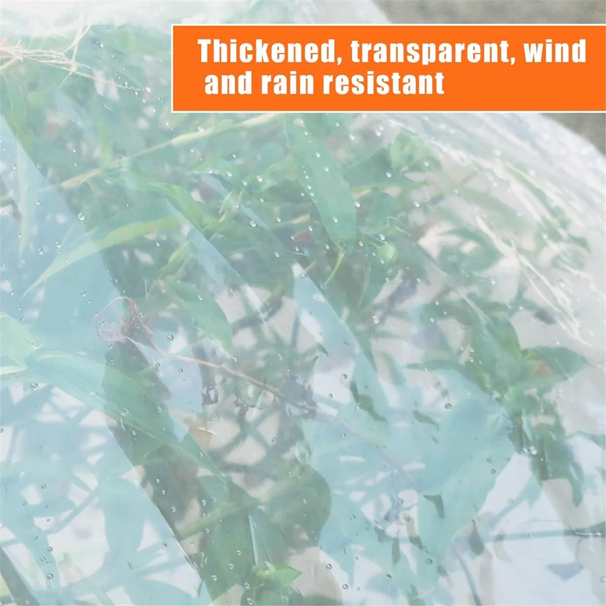 Transparent 8'x10' PE Waterproof Tarp Q484