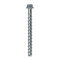 5/8 x 6-1/2in Heavy-Duty Screw Anchor 316 Stainless Steel (Pack of 10) N9194