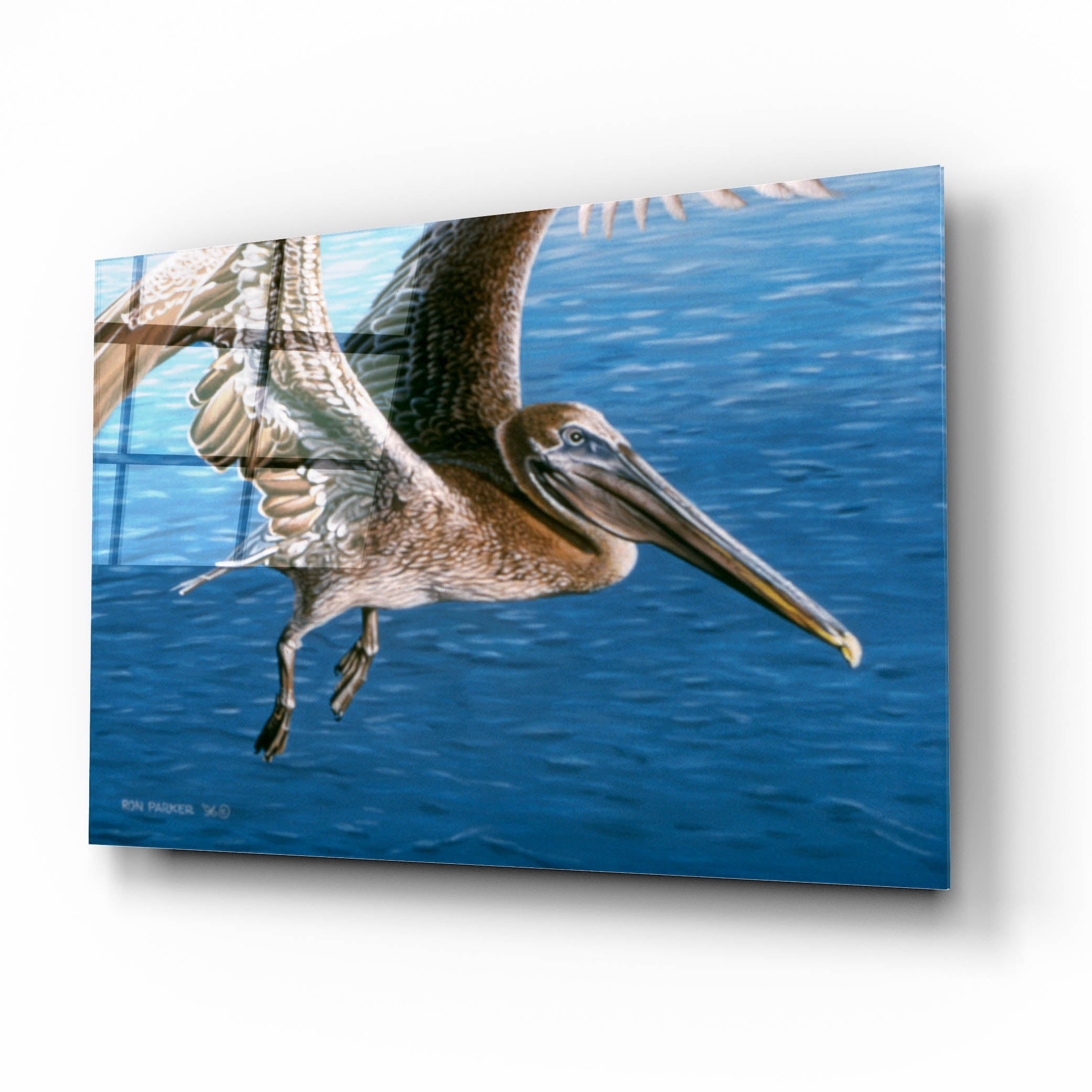 Acrylic Glass Wall Art, 16"x12" Z5686