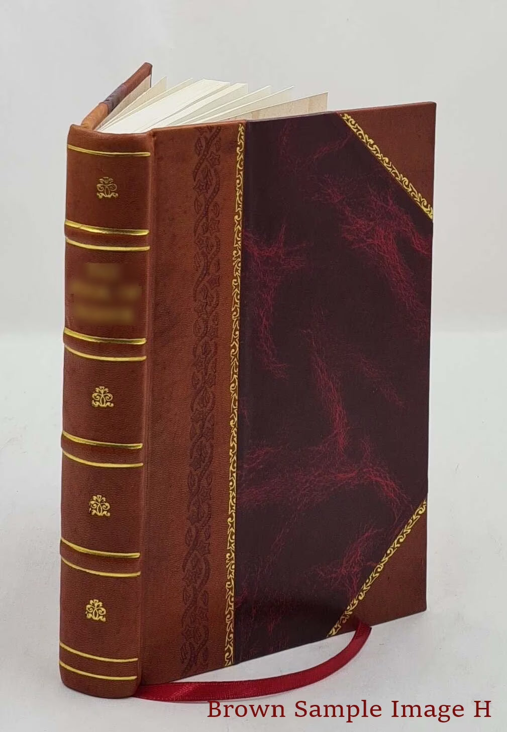 Leather Bound Book B459