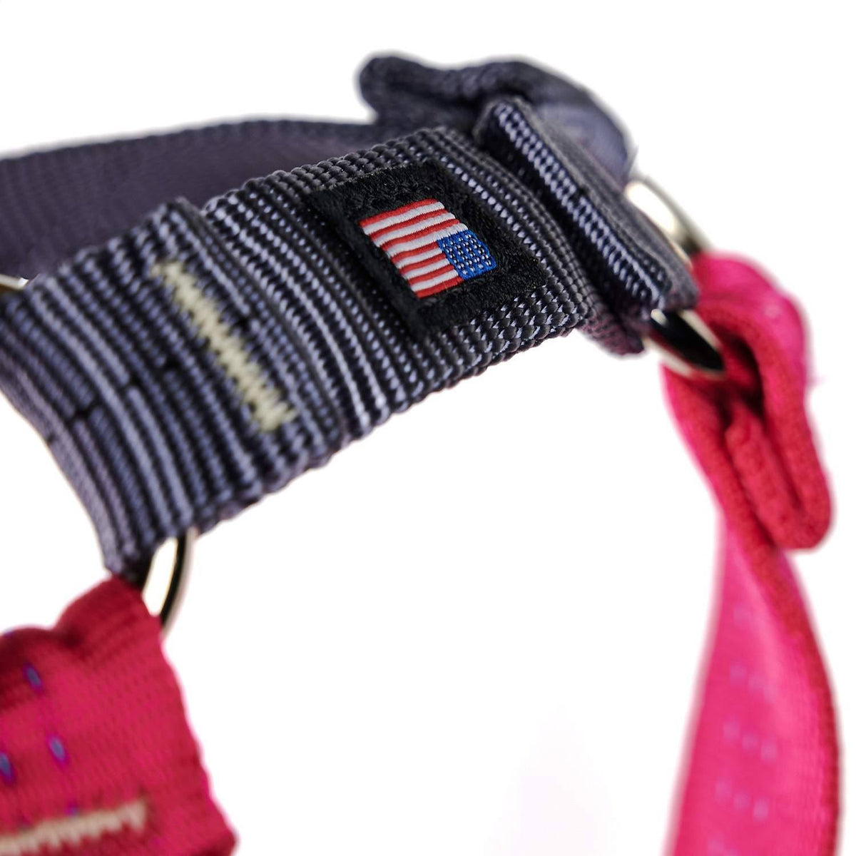 No-Pull Harness Xs / Raspberry D289992