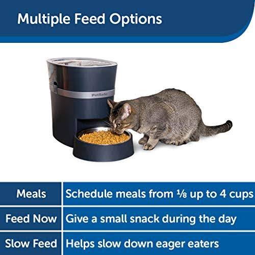 Automatic Dog and Cat Feeder D405309