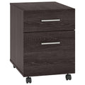 Charcoal Gray 2 Drawer Mobile File Cabinet V377638