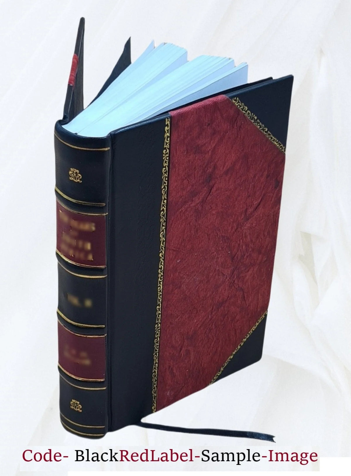 Leather Bound Book P520715